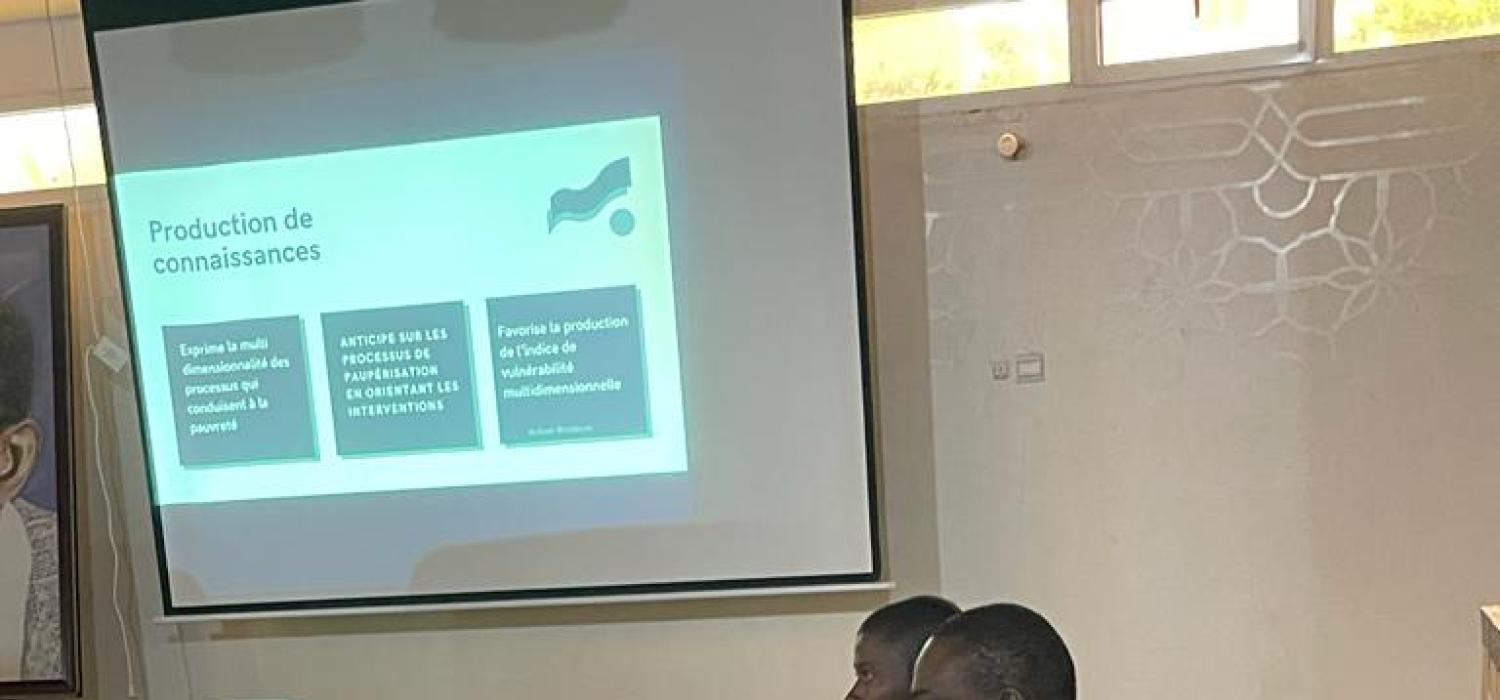 Formation au LARTES-IFAN sur les méthodes quantitatives et qualitatives