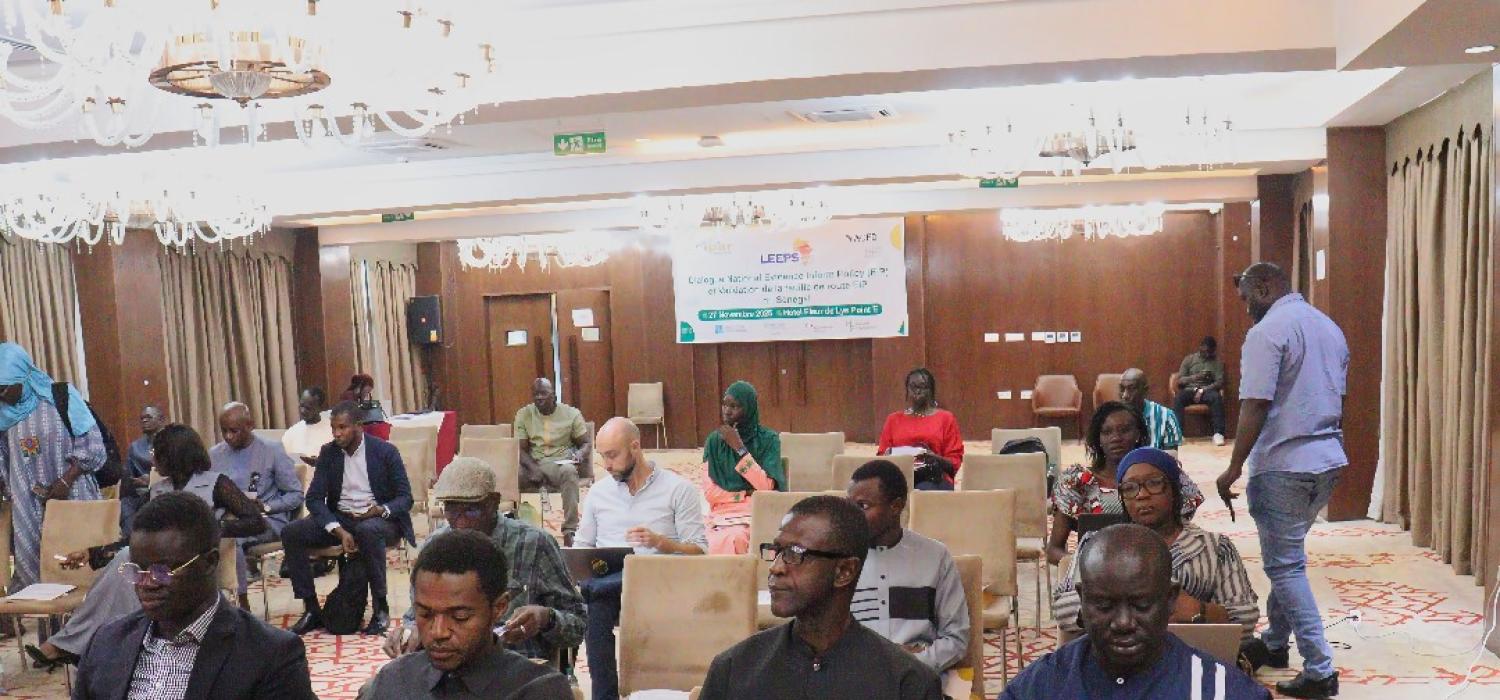 Atelier de validation de la feuille de route EIP et dialogue sur les politiques publiques éclairées par les données probantes