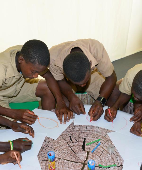 Évaluation commune en Mathématiques chez les 5-16 ans dans les 13 pays du réseau People Action for Learning