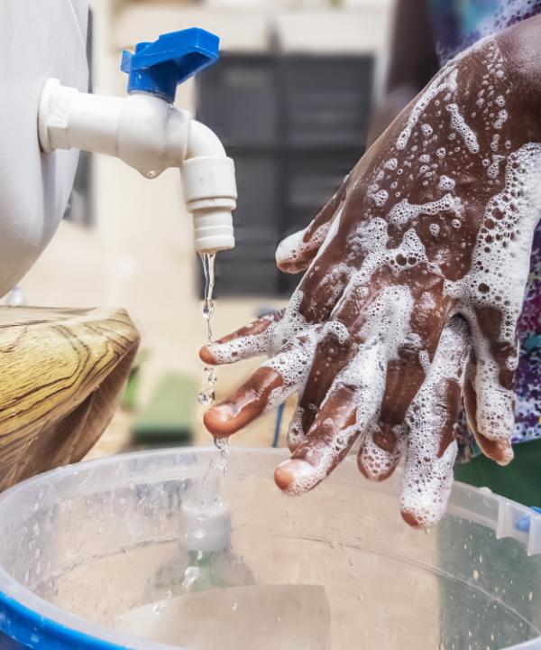 COVID-19 et famille: vécu et impacts de la crise par les ménages au Sénégal